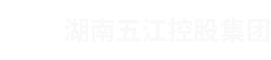 湖南HJC黃金城官網控股集團有限公司